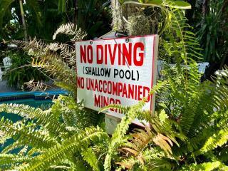 Orchid Cottage - Kingston - 8
