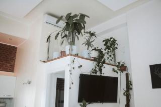 Luxury Loft - Milano Centrale - Milan - 2