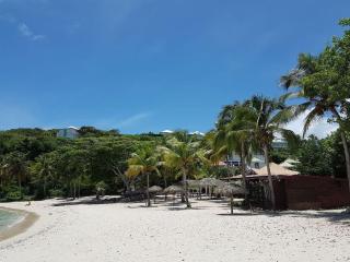 SUPERBE STUDIO COSY LES PIEDS DANS L'EAU - 3