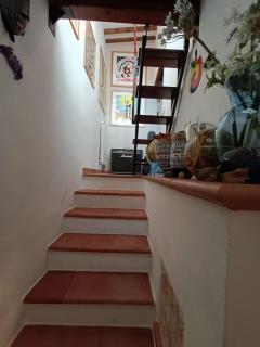 La Casa di Roby - Casalina - 8