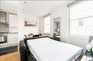 Lovely one bedroom in the heart of London - London - 3