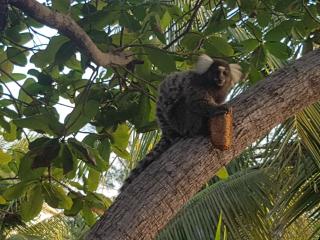 Mermaid House, kitchen, Wi-Fi, parking, centre 5 minutes on foot and near Sunset Dune - 3