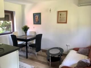 Apartman J&G - Gornji Milanovac - 8