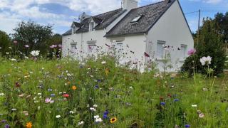 Maison 8 personnes à 4 km de Bénodet - Gouesnach - 4