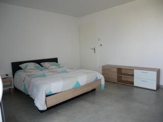 Studio lumineux avec terrasse - La Roche-sur-Yon - 3