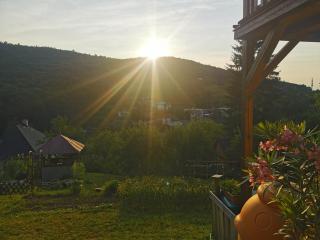 Apartmán PAWLONIA - Trenčianske Teplice - 6