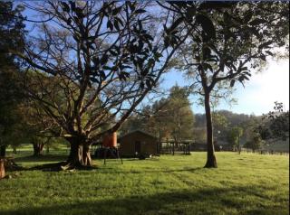 Kenilworth Farmhouse - Coolabine - 9