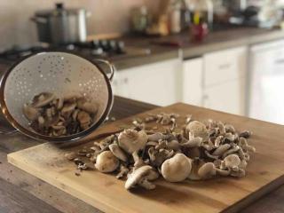 CASA RURAL EN BOSQUE DE PALMERAS - 2