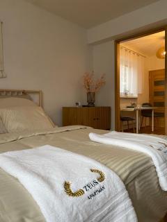 Zeus apartmán - Rajecké Teplice - 9