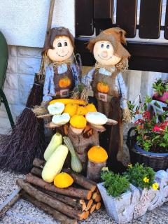 Garden Apartments Janša - 9