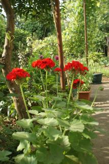 Merabi and Neli Guest House - 1