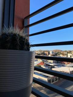 Own It Studio Apartment - Windhoek - 4