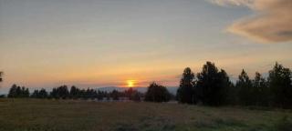 Grand Getaway at Green Bluff - - 7