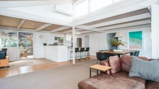 Manna Gum - Shoreham - 3