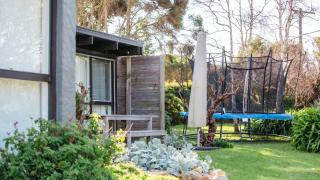 Manna Gum - Shoreham - 7