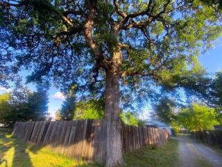 Private House in Sacramento. Only 2mins to Freeway! - Sacramento - 3
