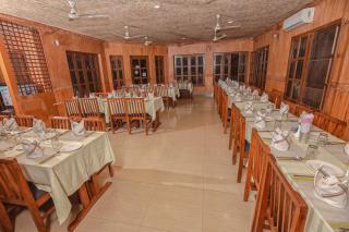 Hotel Wildlife Camp - Sauraha - 3