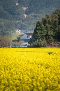 Tingting Lingshanjiang Light Luxury Art Homestay - 3