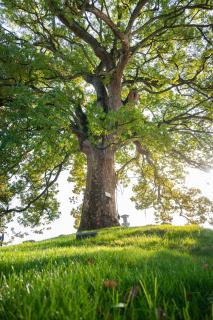 Tingting Lingshanjiang Light Luxury Art Homestay - 7