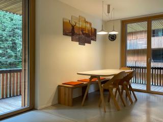 Ferienwohnung 3,5 Zimmer direkt an Ski- und Bikepiste - Flims - 4