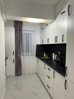 Luxury Apartments and Studios Boulevard G Enescu Suceava - Suceava - 5