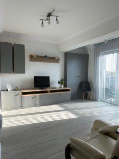 Luxury Apartments and Studios Boulevard G Enescu Suceava - Suceava - 8