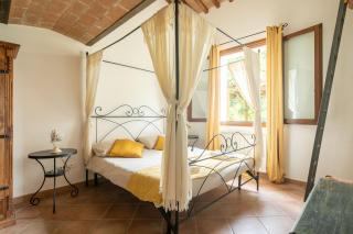 Cottage with private pool - Montescudaio - 7