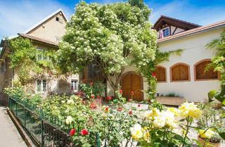 Ferienwohnungen Altes Rathaus - 0