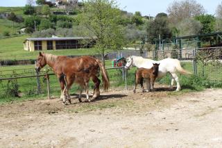 Agrimar 2 - Rignano Flaminio - 7