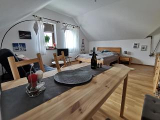 Moji Sousedi - Apartmán Červená - Deštné v Orlických horách - 5