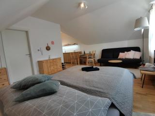 Moji Sousedi - Apartmán Červená - Deštné v Orlických horách - 6