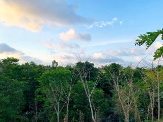 Tommy Homestay - 1