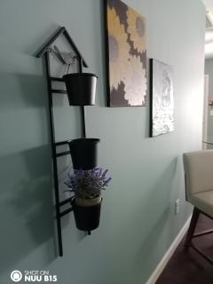 Tranquility Place - Kannapolis - 1