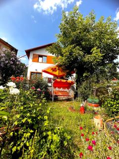 Casa Camelia - Nehoiu - 6