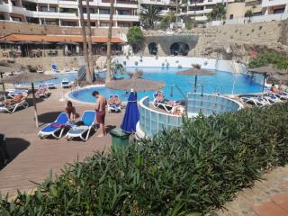 Bib's Pool Side apartment and ocean view - San Miguel de Abona - 9