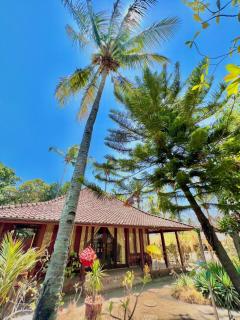 Villa Bulan Madu Gili Air - Senaru - 5