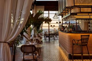 Melia Jardines del Teide - Adults Only - Adeje - 1