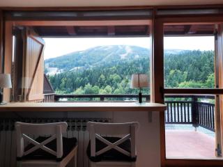 Family view - Bjelašnica - 8