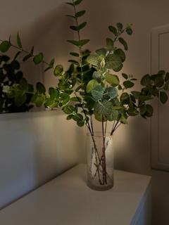 Graz Getaway - Graz - 1