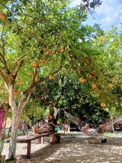 Litost Cafe - Adrasan - 4