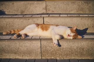 Studio Loft Winnica Sopel - 9