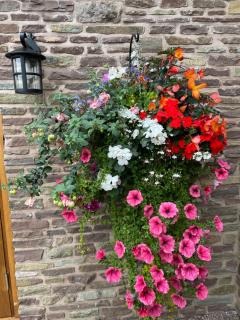 Winsley Park Farm - 1