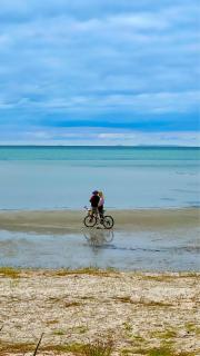 Charming House; Walk to Beach & Shops - Rosebud - 8