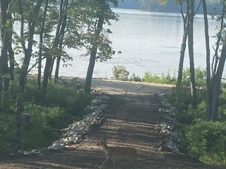 Waterfront cottage with hot tub & private beach in Muskokas - - 1