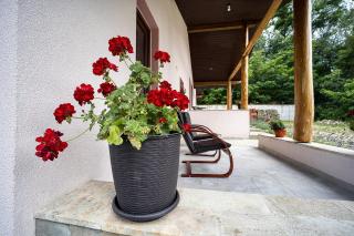 Pensiunea Agroturistica Diana - 2