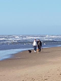 Romantisch Huisje nabij het strand met uitzicht op de tulpenvelden - 6