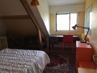 Chambre spacieuse et lumineuse - Mondeville - 4