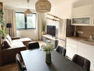 Apartmány Čerňák - Horňák - 4-6 osob, balkon, dvě parkovací místa - Černý Dŭl - 6