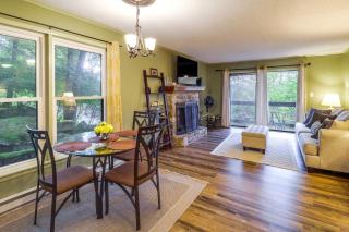 Pet-Friendly Beech Mountain Condo Walk to Slopes! - Beech Mountain - 5