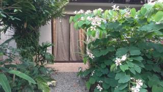 Apartamento Cris - Puerto Viejo - 0